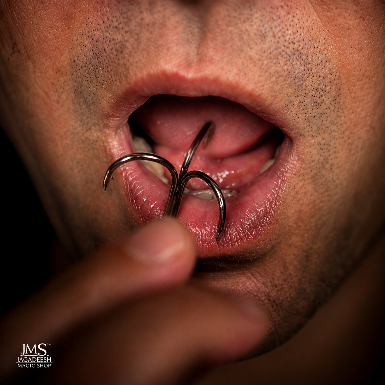 Hook by Eric Ross (economic)