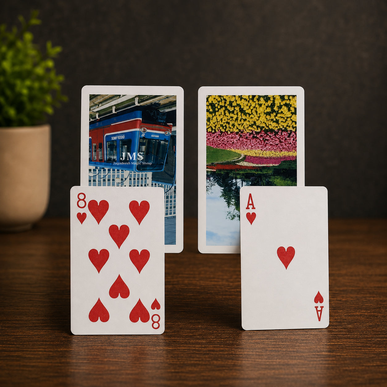 Rainbow Deck