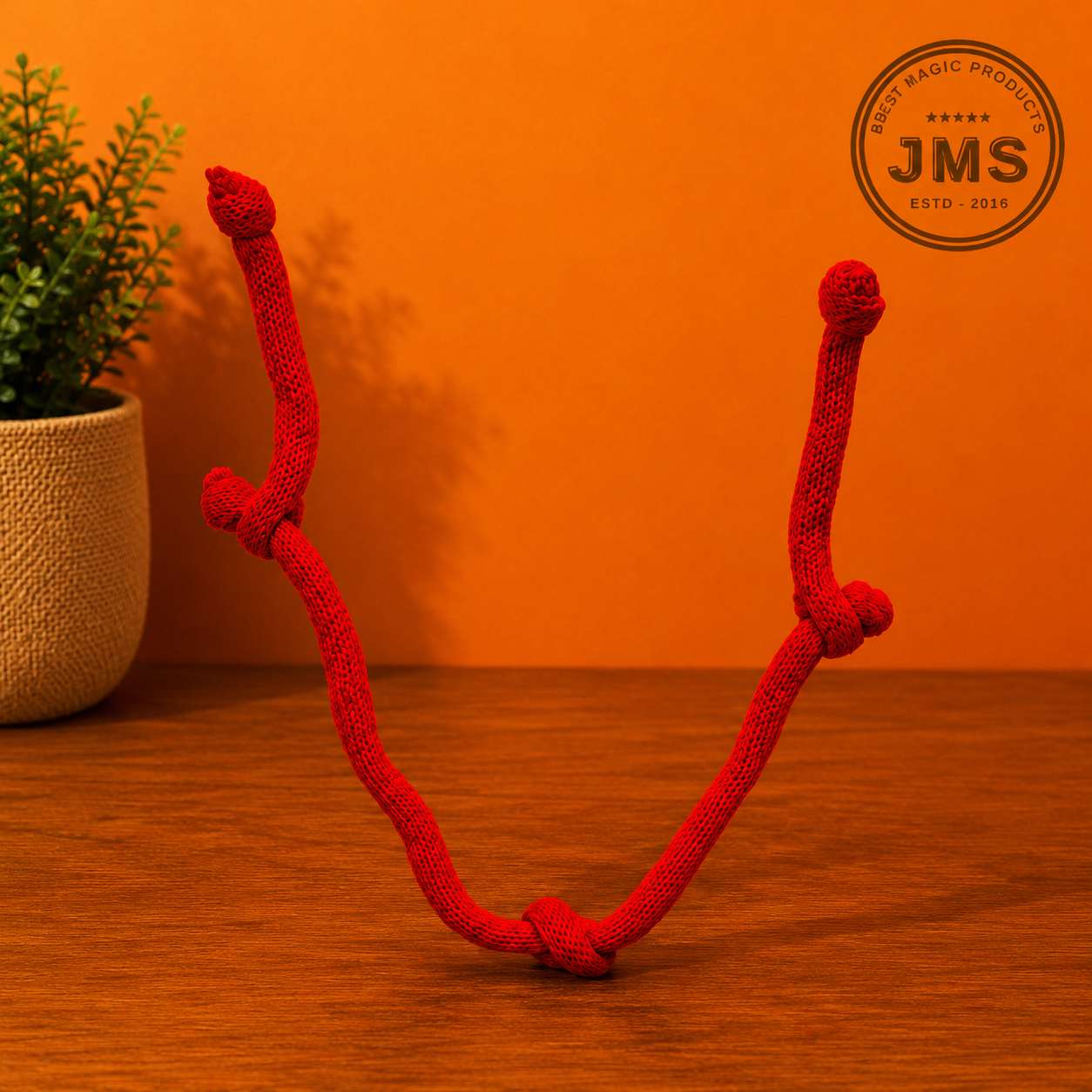 Rope With Four Ends