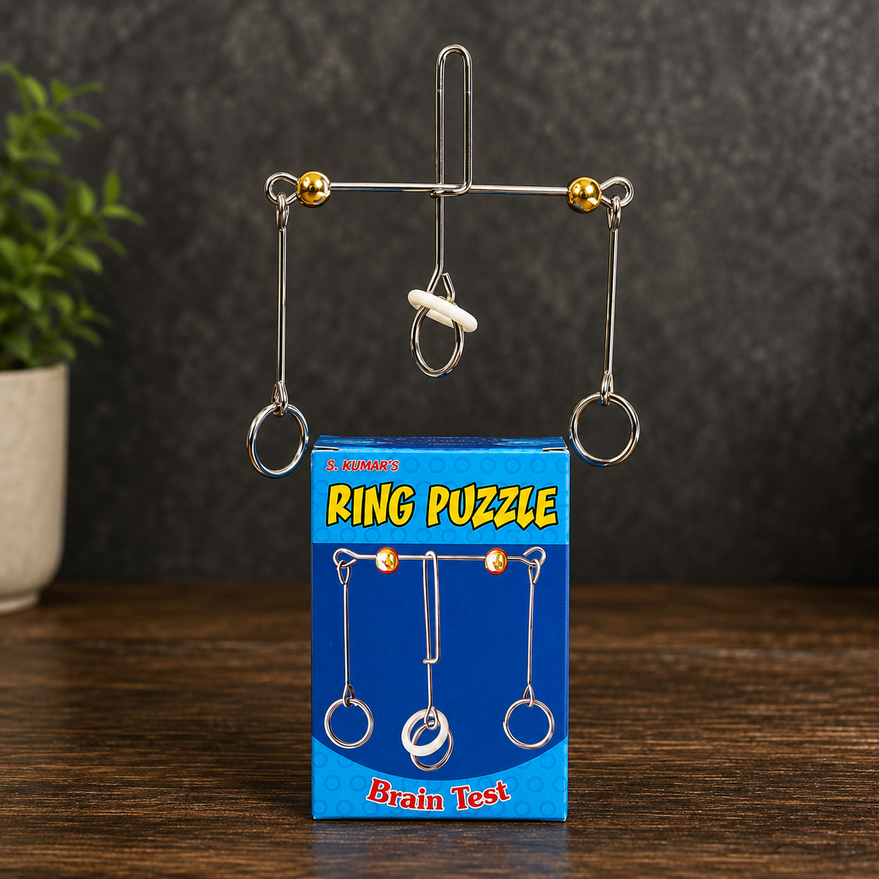 Ring puzzle
